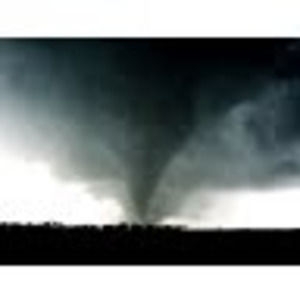 Meet your Posher, Colton